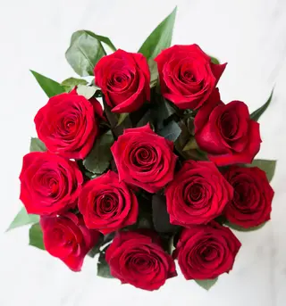 Docena Rosas Eternas