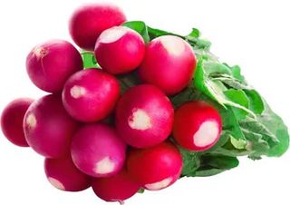 Редис (1 Пучок)