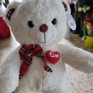 orso bianco