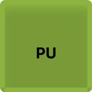 Puerros Confitados y Braseados