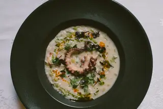 Risotto con polpo
