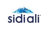 Sidi Ali