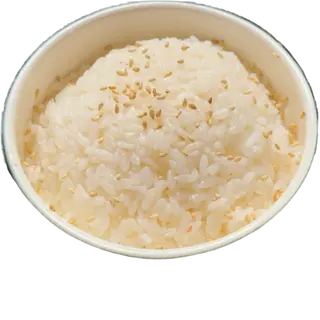 ARROZ BLANCO