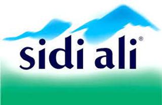 Sidi Ali