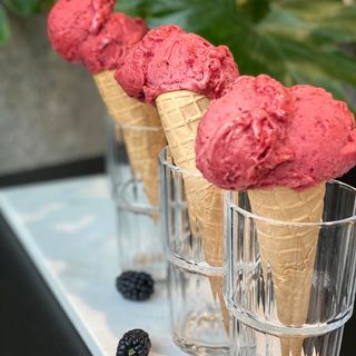 Lody standard malina SORBET