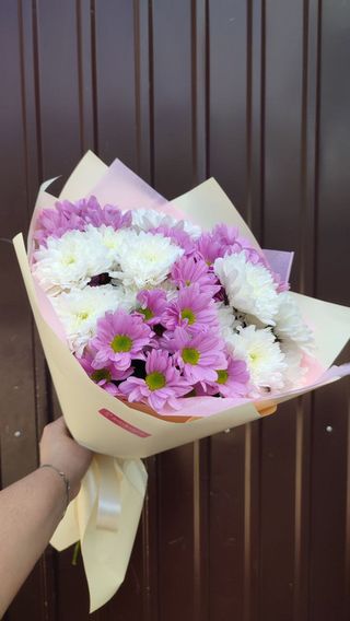 Хризантема мікс 7 шт