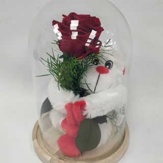 CM1-MONITO ABRAZO DE AMOR 