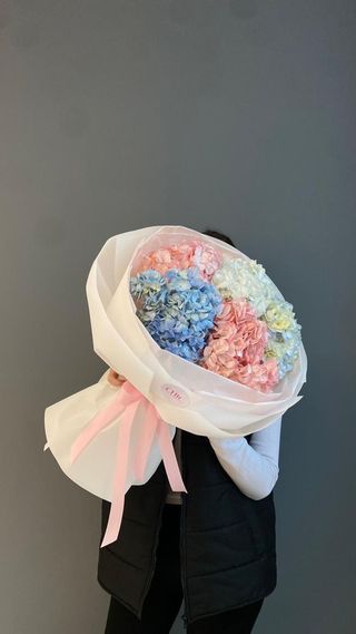 Облачные гортензии 5 шт 