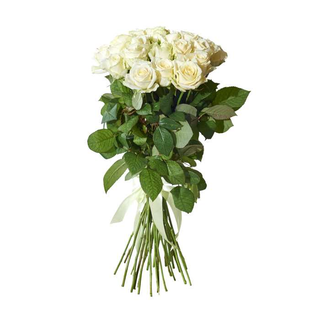 Bouquet compatto 12 rose bianche