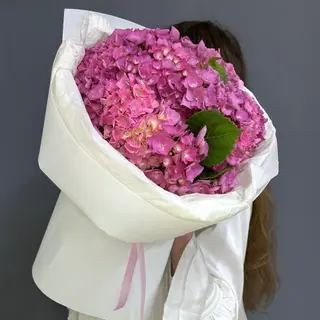Букет «Гортензія (15)»
