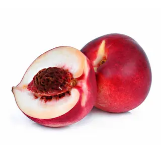 NOCI PESCHE