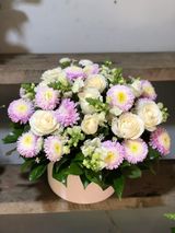 ვარდისფერი ასტრის კოლოფი, თეთრი ვარდებით