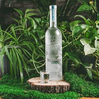 BELVEDERE   (50 мл.)