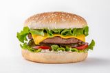 Mr.Cheese Burger