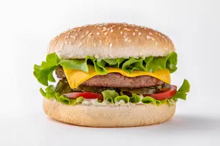 Mr.Cheese Burger