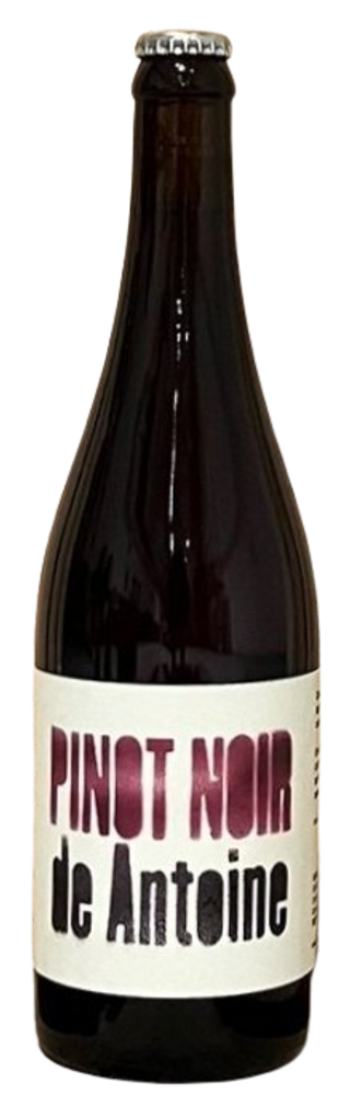 Pinot Noir de Antoine Cyclic Beer Farm Botella 75 cl.