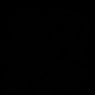 Zucchine alla piastra