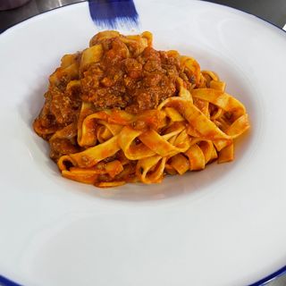 Bolognesa
