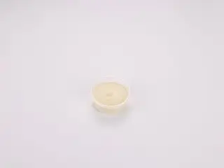 Sos cu usturoi