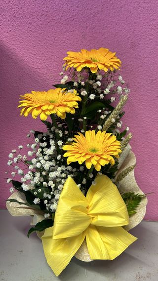 Centro Radiante de Gérberas Amarelas