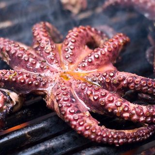 Polpo alla griglia