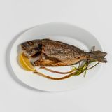 Ципура на туч