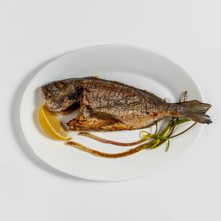 Ципура на туч