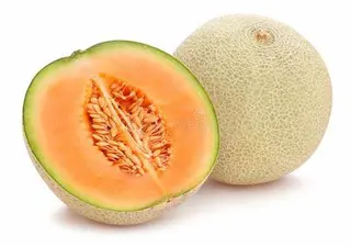 cantalupo