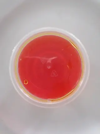 Salsa Agridulce
