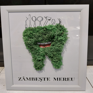 Tablou cu licheni Stomatolog- 15x20