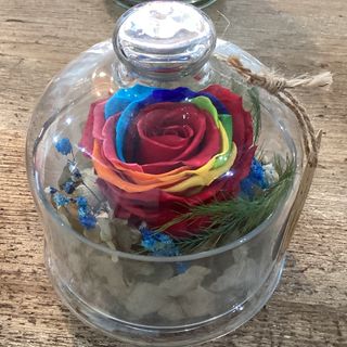 Cúpula pequeña rainbow preservado