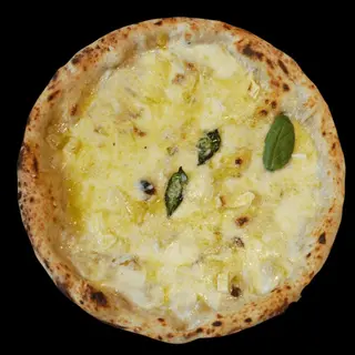 Margherita bianca