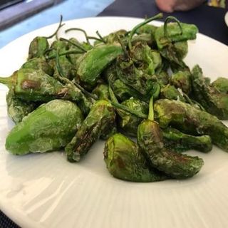 Pimientos de Padrón