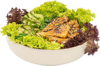 Salmon zen