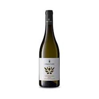 VIVITIS VINO BIO GR. CL.75IGP
