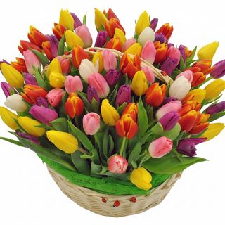 Кошик"101 яскравий тюльпан"