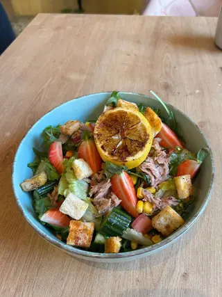 Salata ton