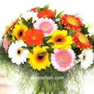bouquet 8 gerbere colorate