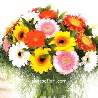 bouquet 8 gerbere colorate