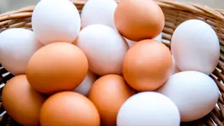 Huevos xl 6 uds
