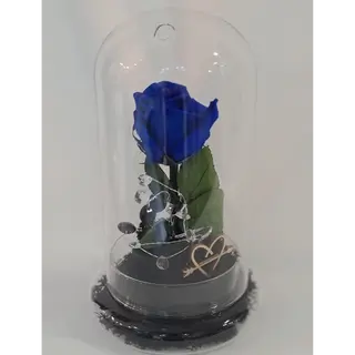 Rosa Preservada en cupula azul