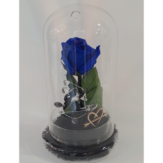 Rosa Preservada en cupula azul