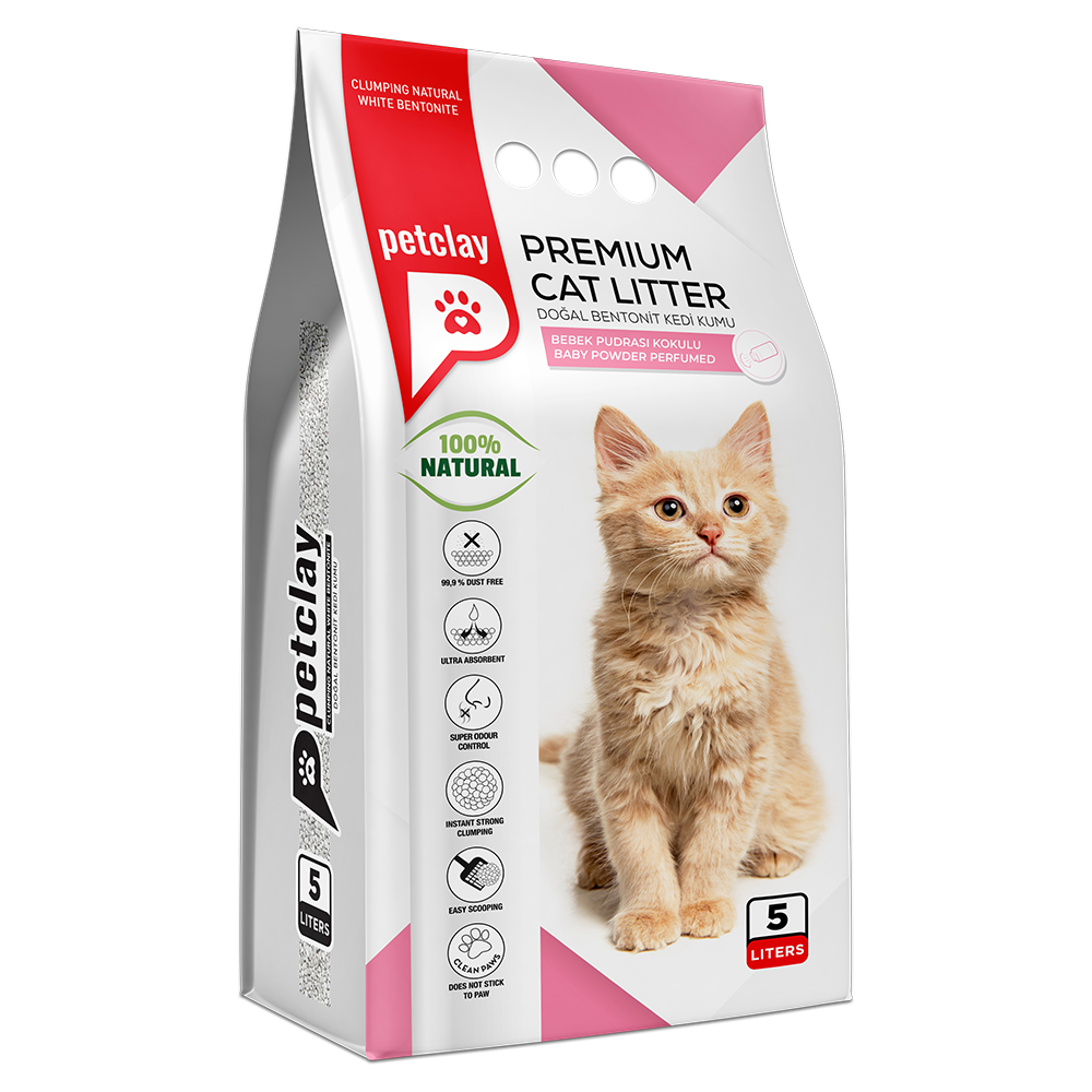 კატის ჰიგიენა