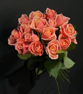 15 троянд Міс Піггі під стрічку №31