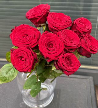 Czerwone róże, 9 sztuk