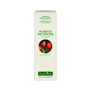 Extract concentrat din mladite de maces (ROSA CANINA)