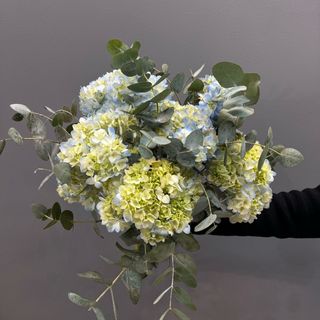 Ramo de 5 hortensias azules con eucalipto 