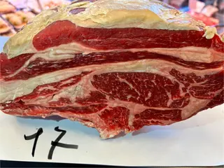 Bovino adulto Angus