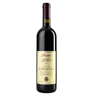 Cabernet Plantaže