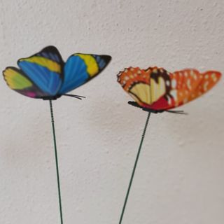 Pin de mariposa